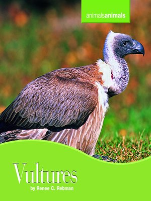 cover image of Vultures